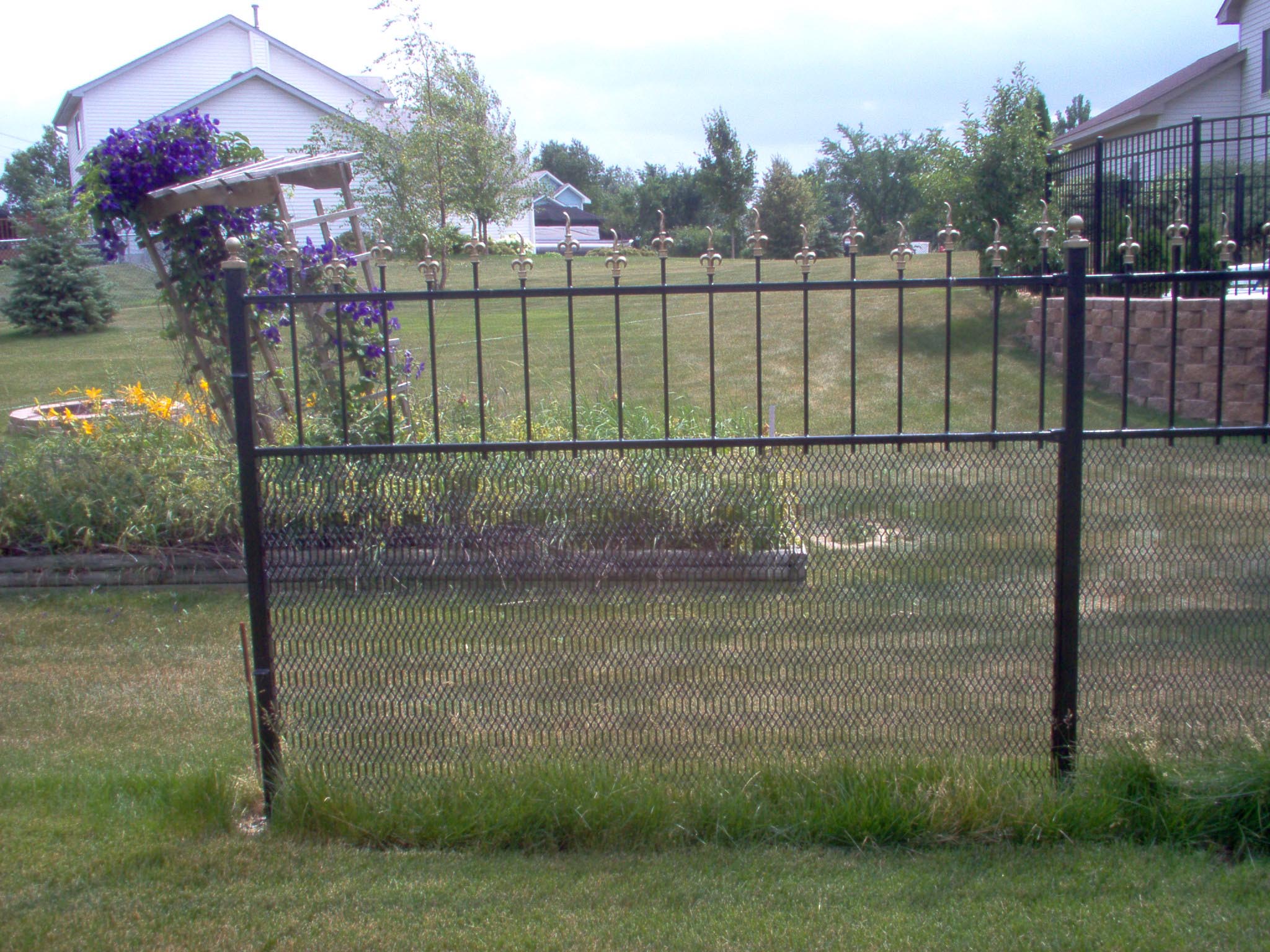 fence2.jpg